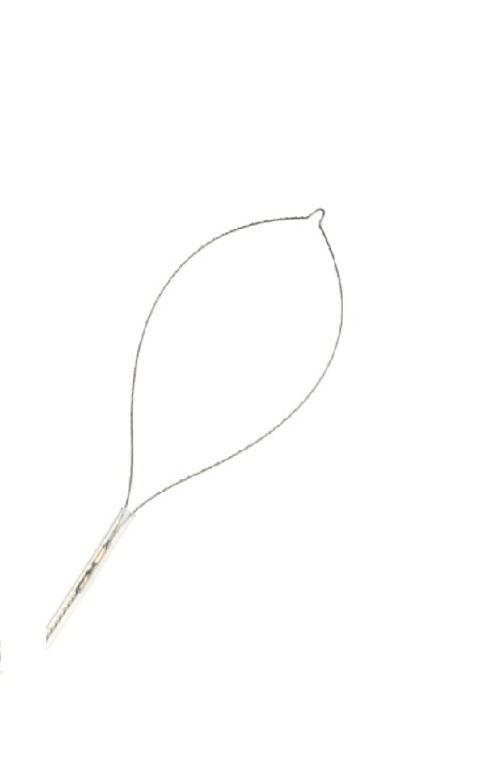 [사용설명서](수인 20-4774 호)일회용발조절식전기수술기용전극 : Polypectomy Snare(Hot Type)
